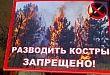 С 20 апреля 2015 года в Тюменской области введен особый противопожарный режим